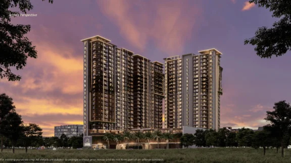 Model Image