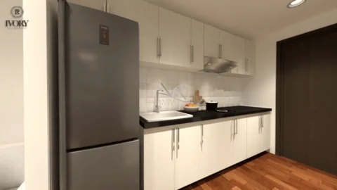 Model Image